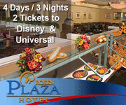 Disney & Universal Vacations at Rosen Plaza